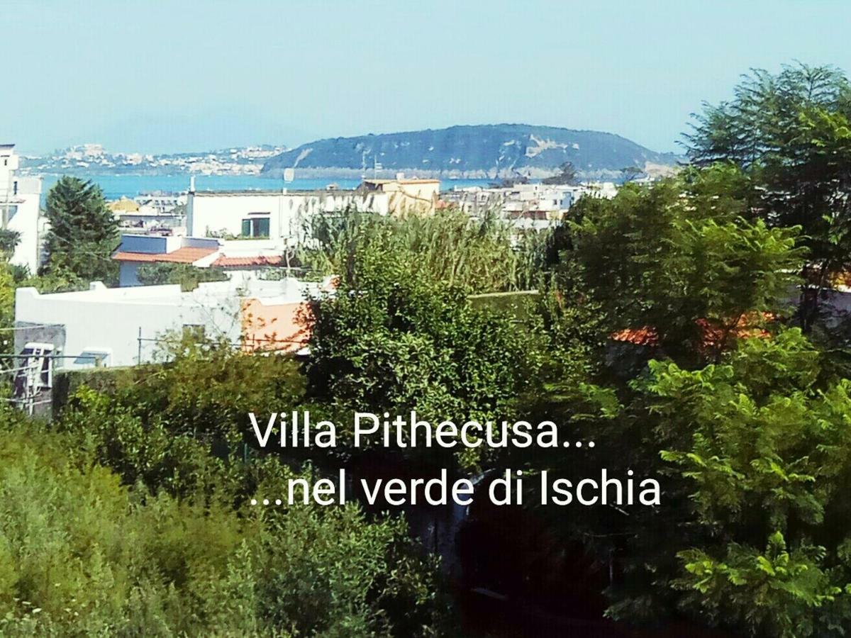 Villa Pithecusa อีสเกีย ภายนอก รูปภาพ
